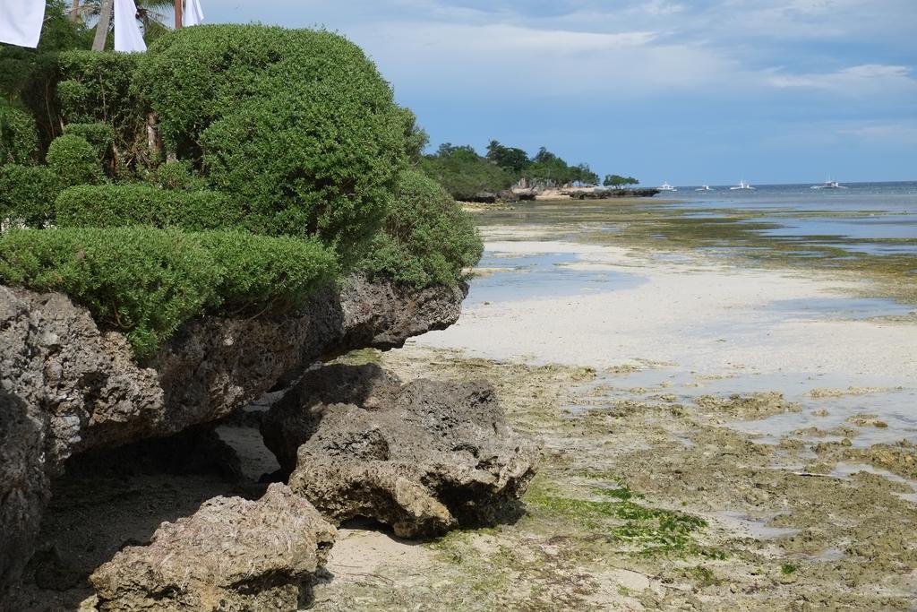 Dive Thru Resort Panglao Zewnętrze zdjęcie